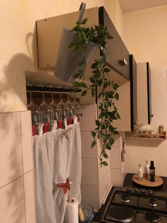 Teta Jana Apartment Smoljanci Bagian luar foto
