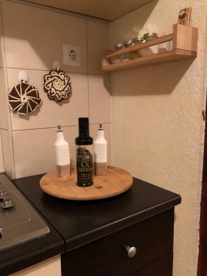 Teta Jana Apartment Smoljanci Bagian luar foto